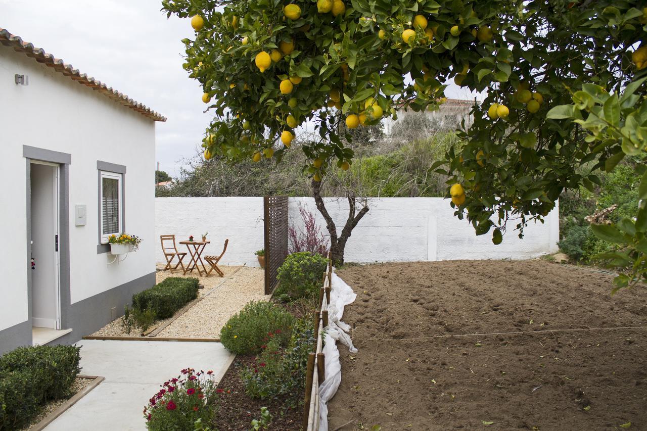 Casa Do Avo Serra Leiria Kültér fotó