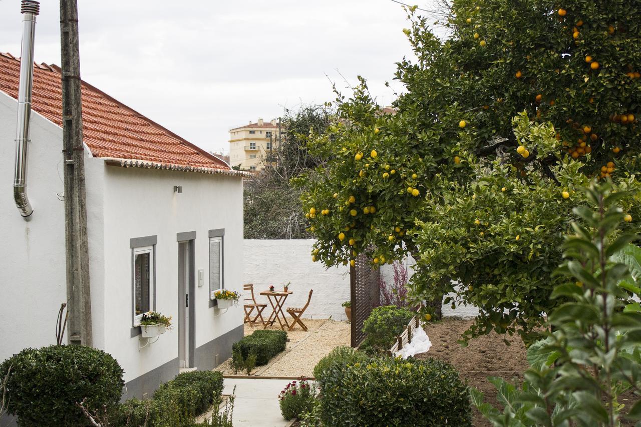 Casa Do Avo Serra Leiria Kültér fotó